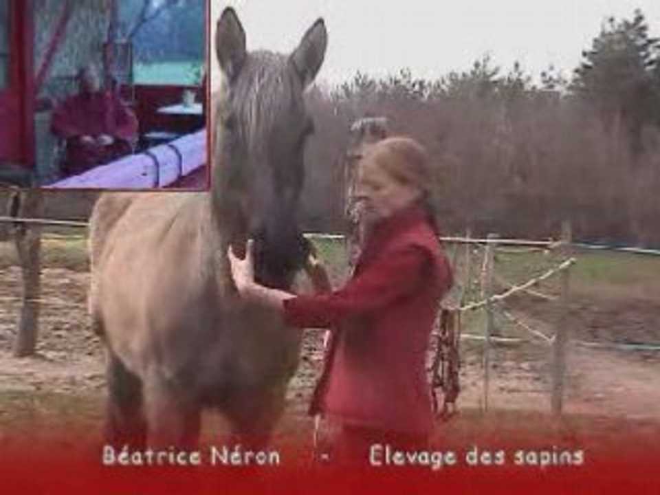 Presentation du trait Poitevin