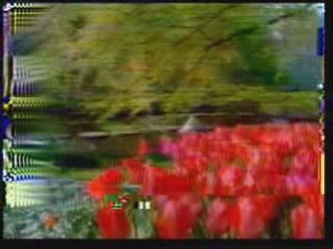 Hz muhammed s.a.v. efendimizin hayati video 3 ahmet4141