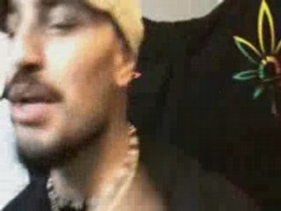 Reggae ragga dancehall Mc Gully