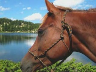 Rando des lacs
