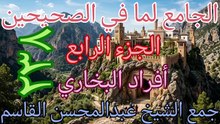 الجامع لما في الصحيحين (238)