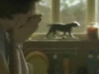 Brandt Dish Washer Funny Ads