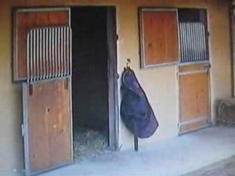 Gery et luthier aux ecuries