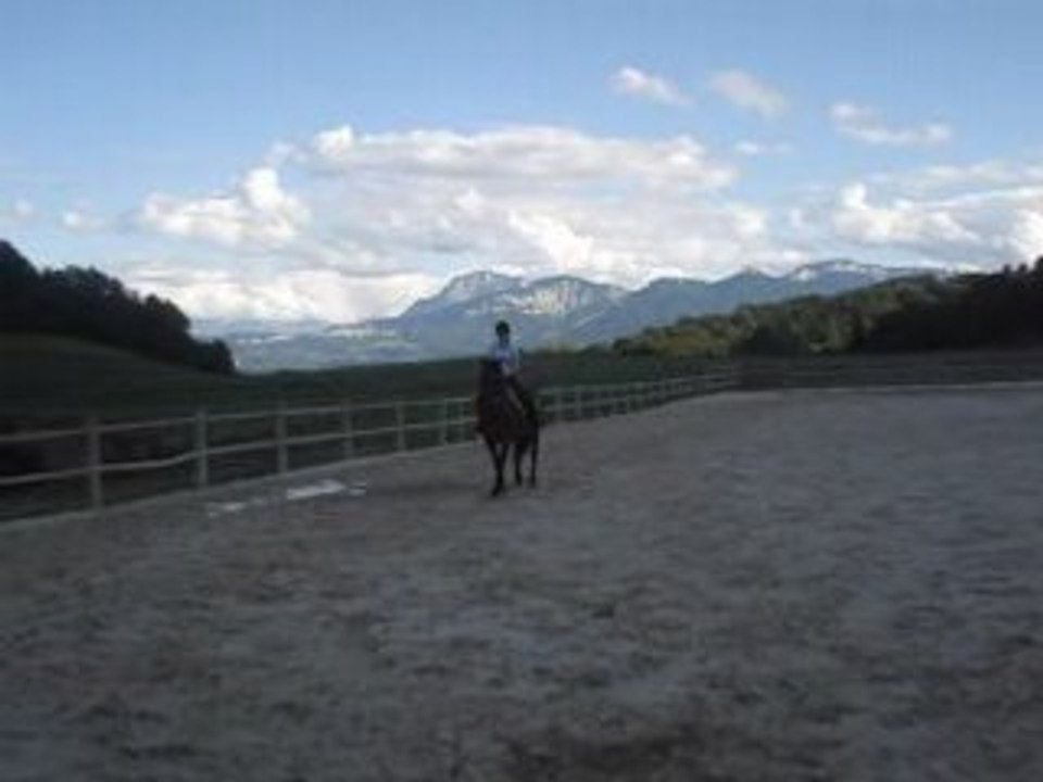 Cessions à la jambe au trot