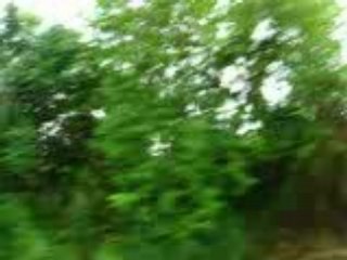 cutE videO nG mgA mOuntAins and nG mgA cLouds.. :D