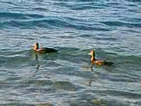 Coucher de soleil sur la montagne