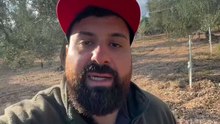 Michele monopoli story seria