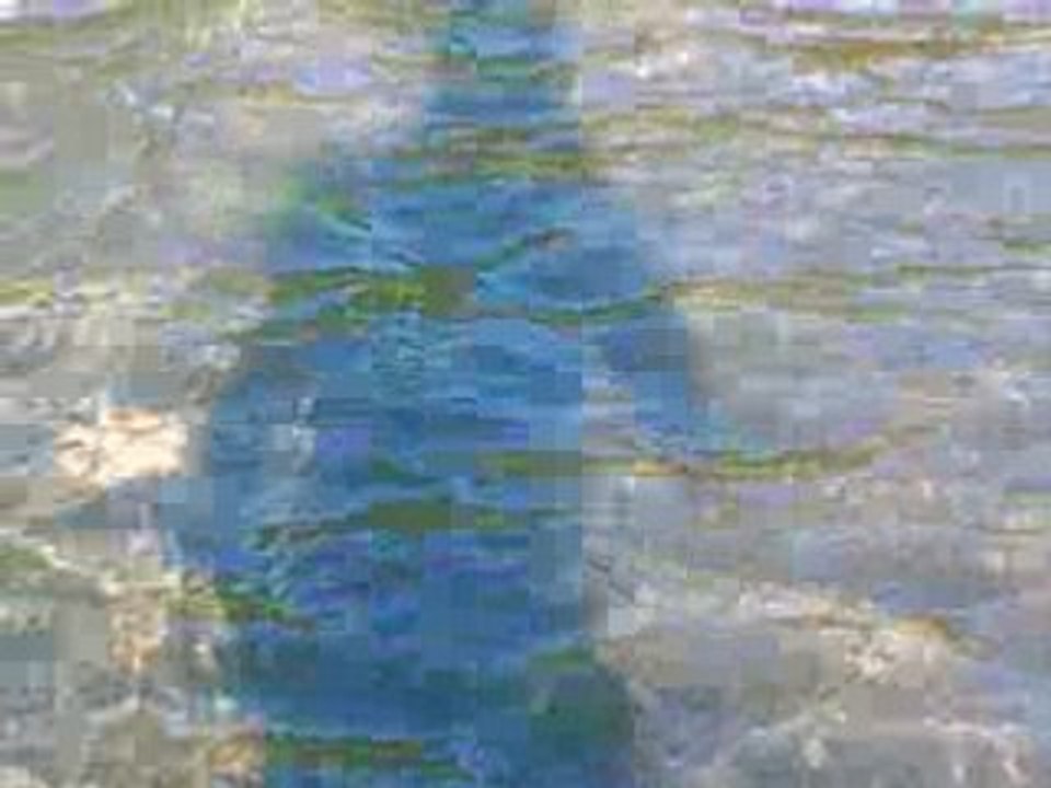 Petit bateau sur l'eau...