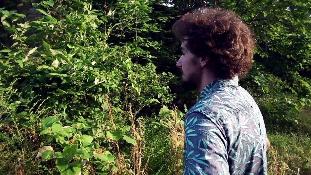 The Dead Half (2017) - video Dailymotion