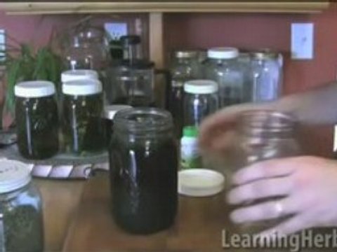 Nettle Infusion: herbal nutrition with herbal infusions