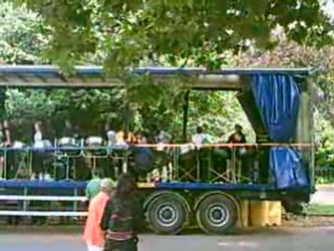 Carnaval 2008 Notting hill