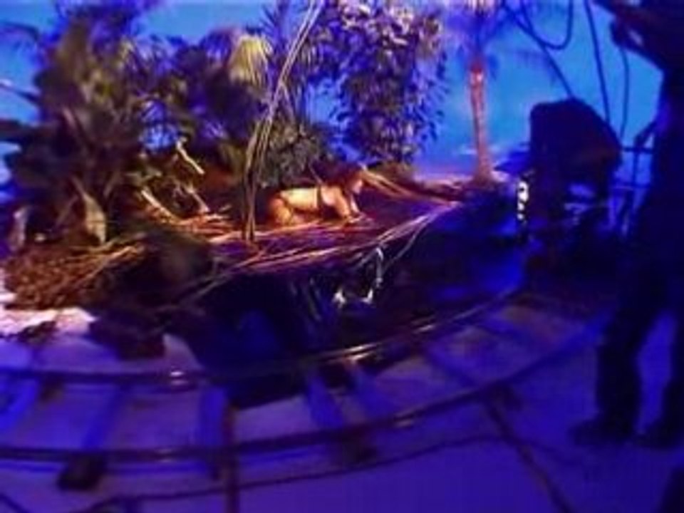 LA MAISON MERE PRODUCTION CLIPS