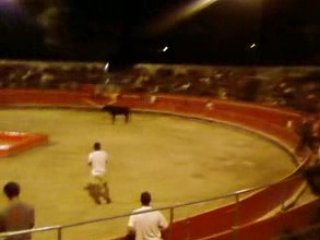 un bouchon pour guioussepe toro piscine portiragne