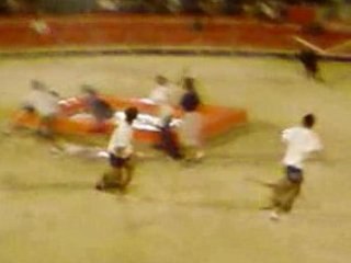 un bouchon pour le poulpe au toro piscine de portiragnes