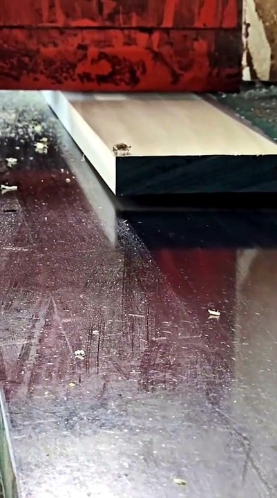 Little bug - video Dailymotion