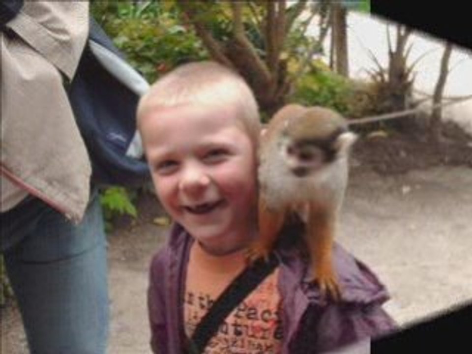 Corentin