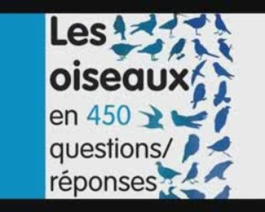Les oiseaux en 450 questions/réponses
