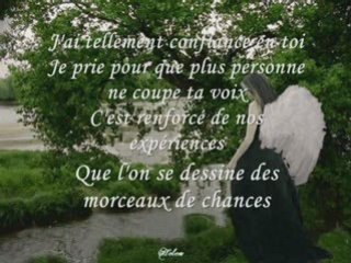 Du plomb dans l'aile