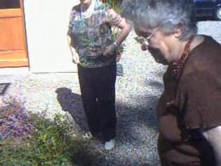 Les bruyères de Thiefosse 24 aôut 2008