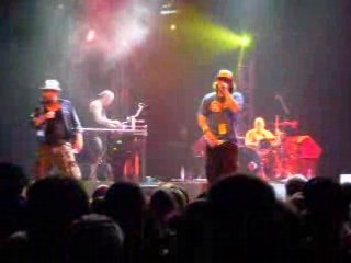 Petit con svinkels a montreal