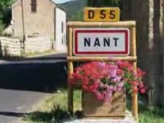 Nant original