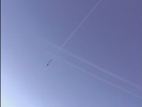 voltige bungy saut à l'élastique