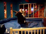 Jordan on bull @ Hooters