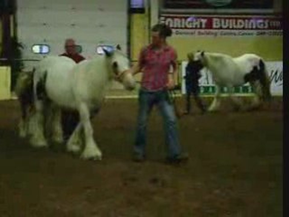 Poulinieres irish cob