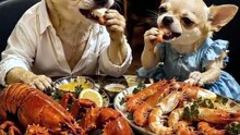 Funniest AI Dog Pranks & Epic Fails Compilation! 🐕😂