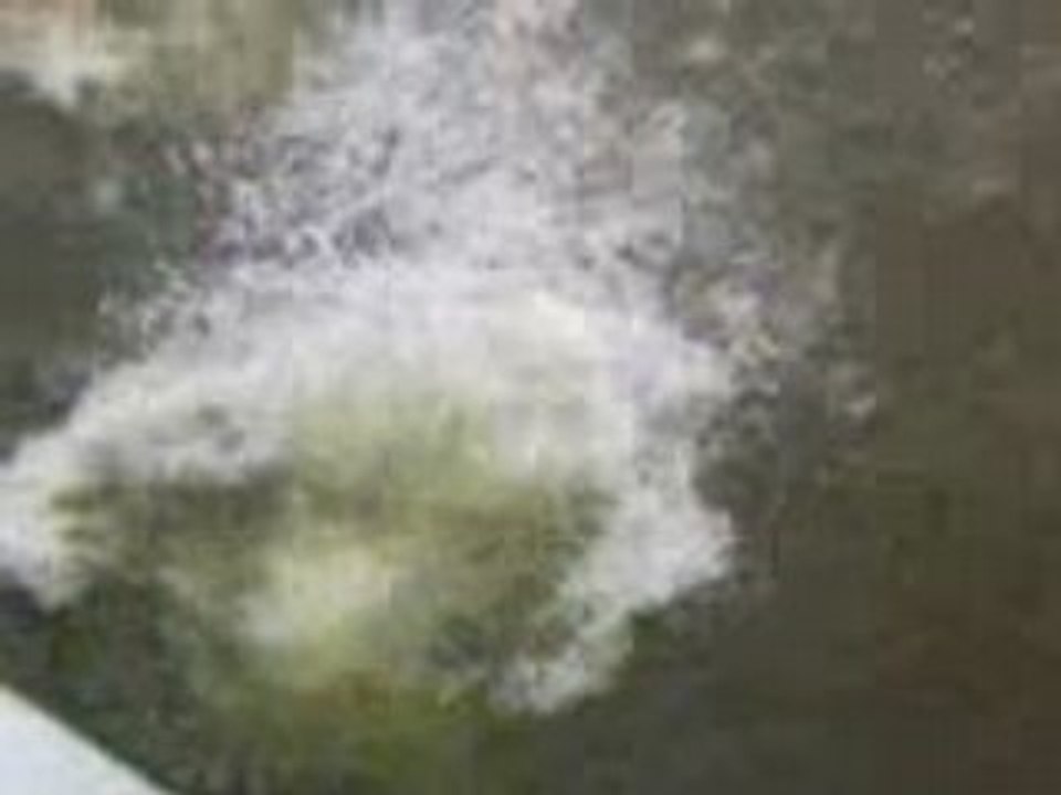 Plongeon à rabo