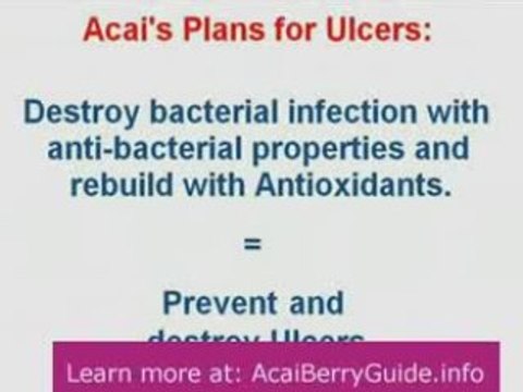 Acai Berry Benefits Oprah superfood cleanse diet monavie