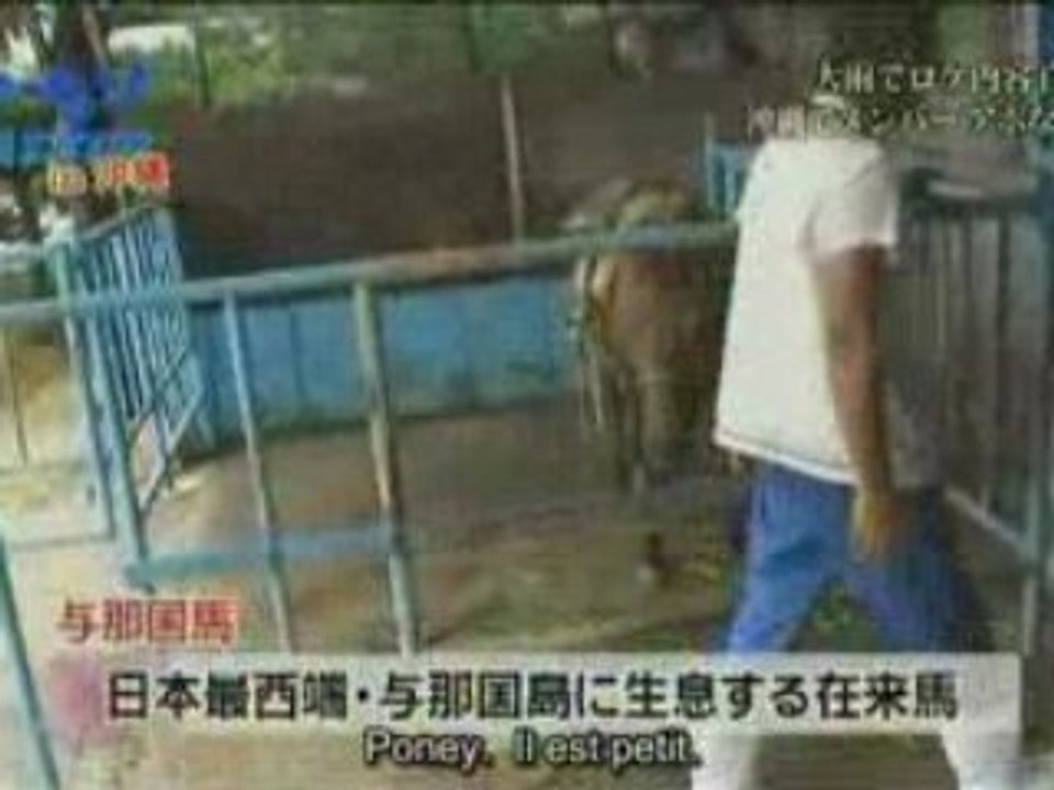 [Anou] Cartoon KAT-TUN 2007.09.05 [french subbed] partie 2