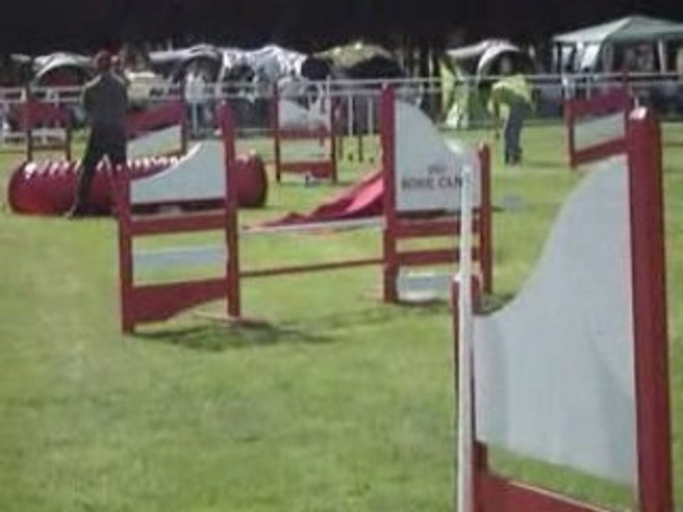 Vanda jump