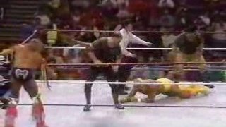 Hulk Hogan vs The Undertaker