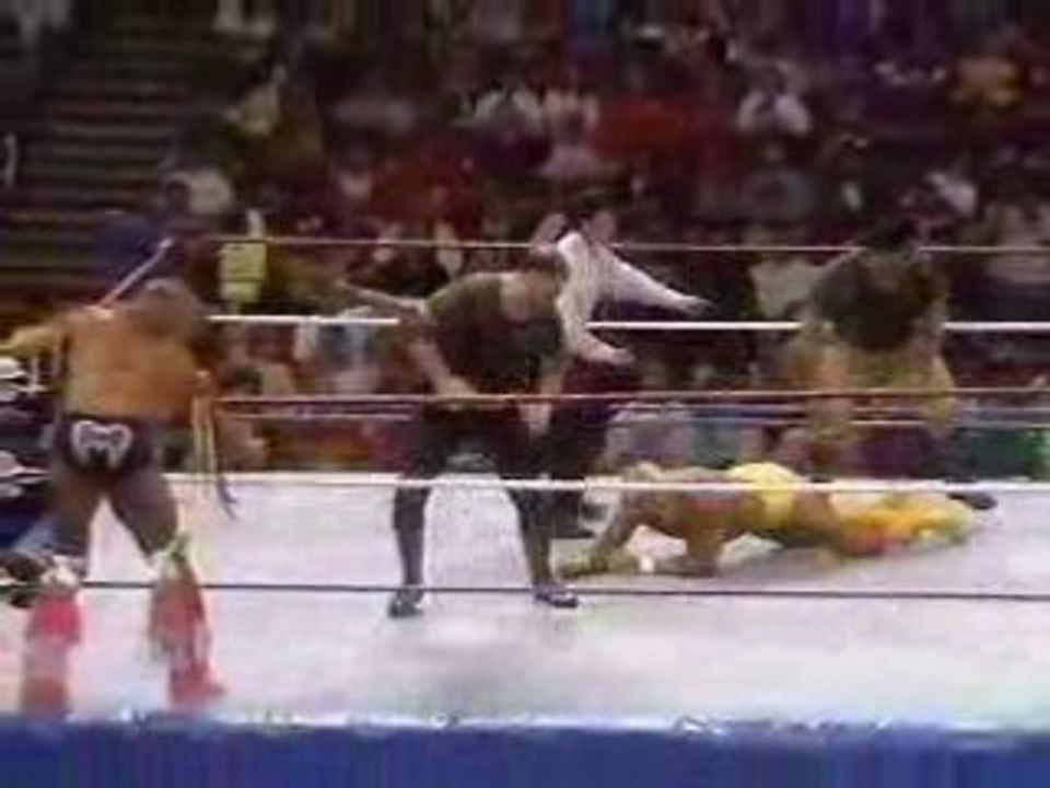 Hulk Hogan vs The Undertaker
