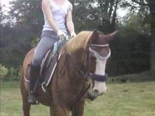 Reprise dressage moi et Otto