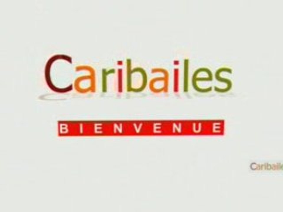 Cours de danse et stages de danse Caribailes