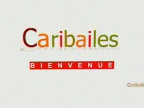 Cours de danse et stages de danse Caribailes