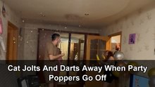 Startled cat bolts around the room when birthday party poppers suddenly go off