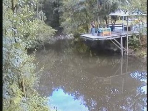 Saut à l'élastique (Bungy)