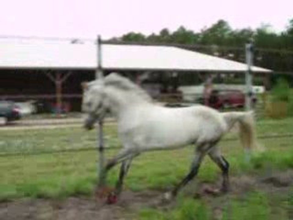 IMGP0230