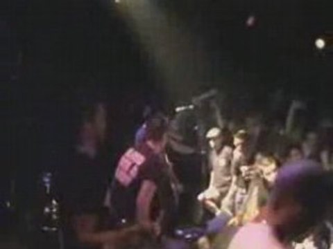 [Brixton cats] comptez sur moi