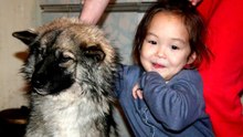 4-Year-Old Karina Lost in the Siberian Taiga, Saved by Her Dog