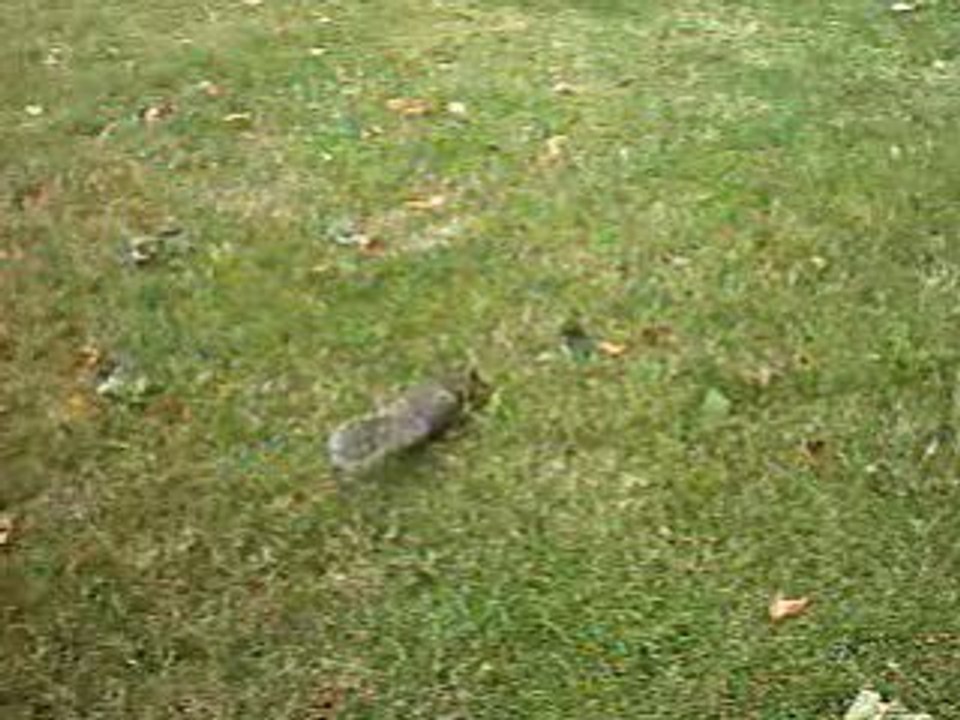 IMAG0055