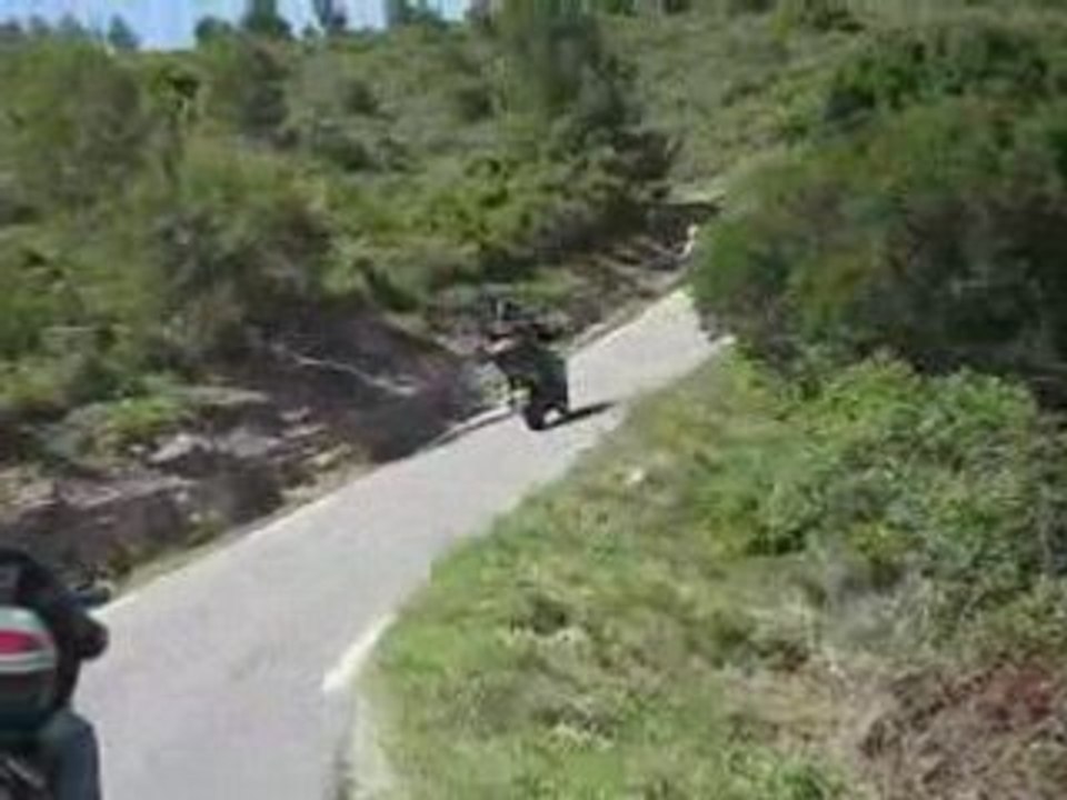 erfsyi