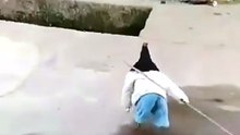 A chicken holding a sword 🤣🤣