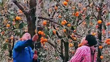 Vậy ra đó là cách làm bánh hồng!