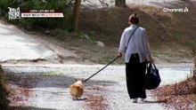 미친 뒤태 자랑하는 웰시코기 살림이?! 우리 집 귀여움 담당을 소개합니다