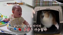 땅에 떨어진 건 뭐든 물고 도주?! 아기 치발기까지 노리는 괴도견