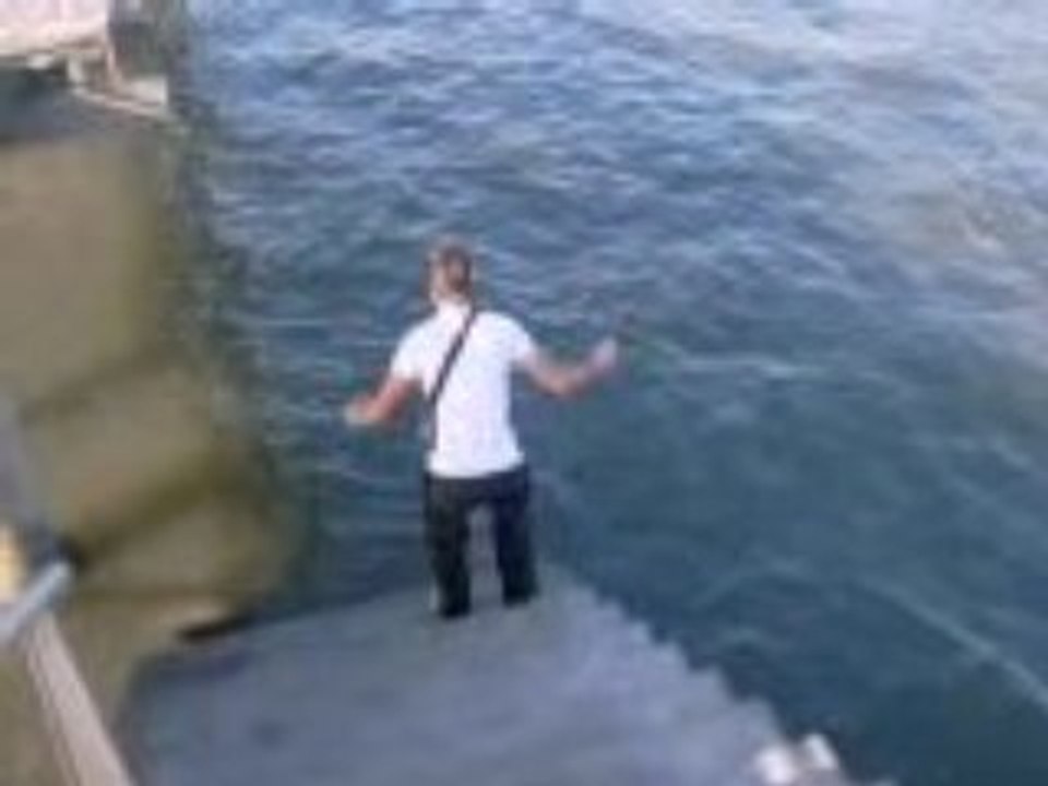 Le plongeon